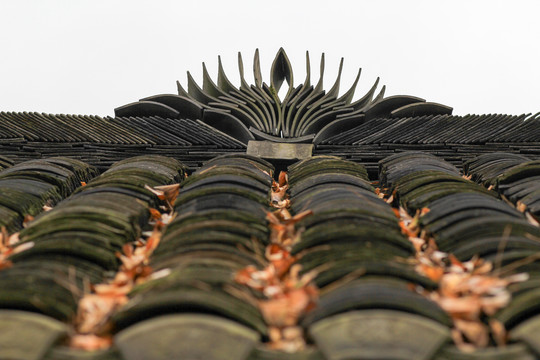 屋頂的守護者 磚瓦的演變與美學